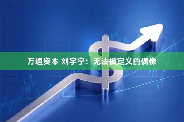万通资本 刘宇宁：无法被定义的偶像