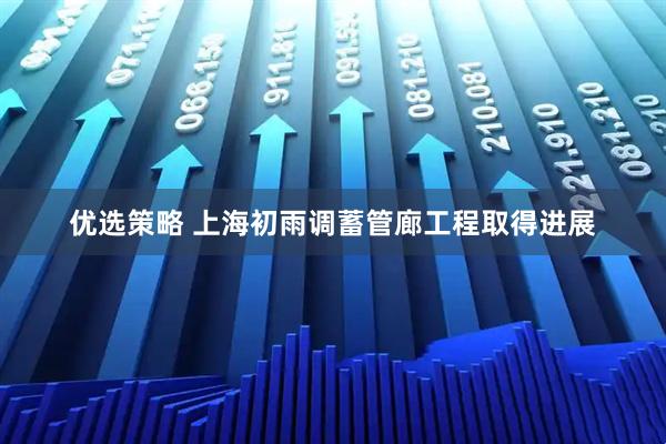 优选策略 上海初雨调蓄管廊工程取得进展