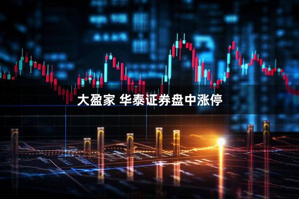 大盈家 华泰证券盘中涨停
