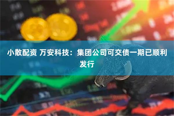 小散配资 万安科技：集团公司可交债一期已顺利发行