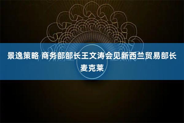 景逸策略 商务部部长王文涛会见新西兰贸易部长麦克莱