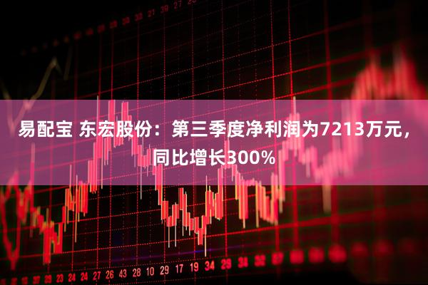 易配宝 东宏股份:第三季度净利润为7213万元,同比增长300%